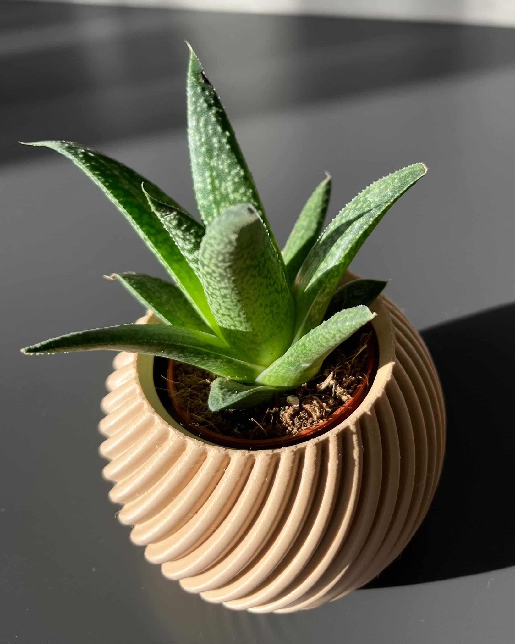 Petit Cache pot pour petite plante EG