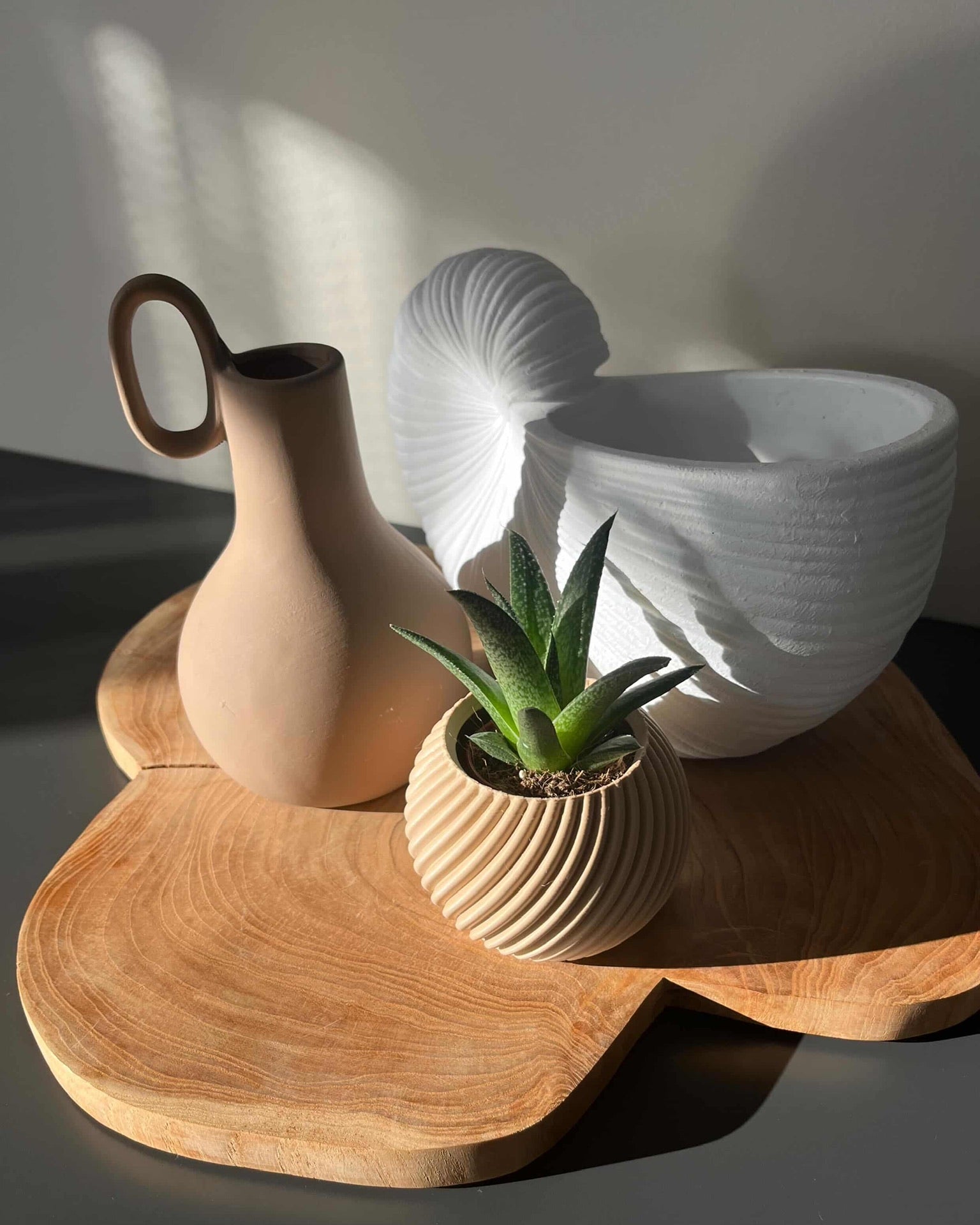 Petit Cache pot pour petite plante EG